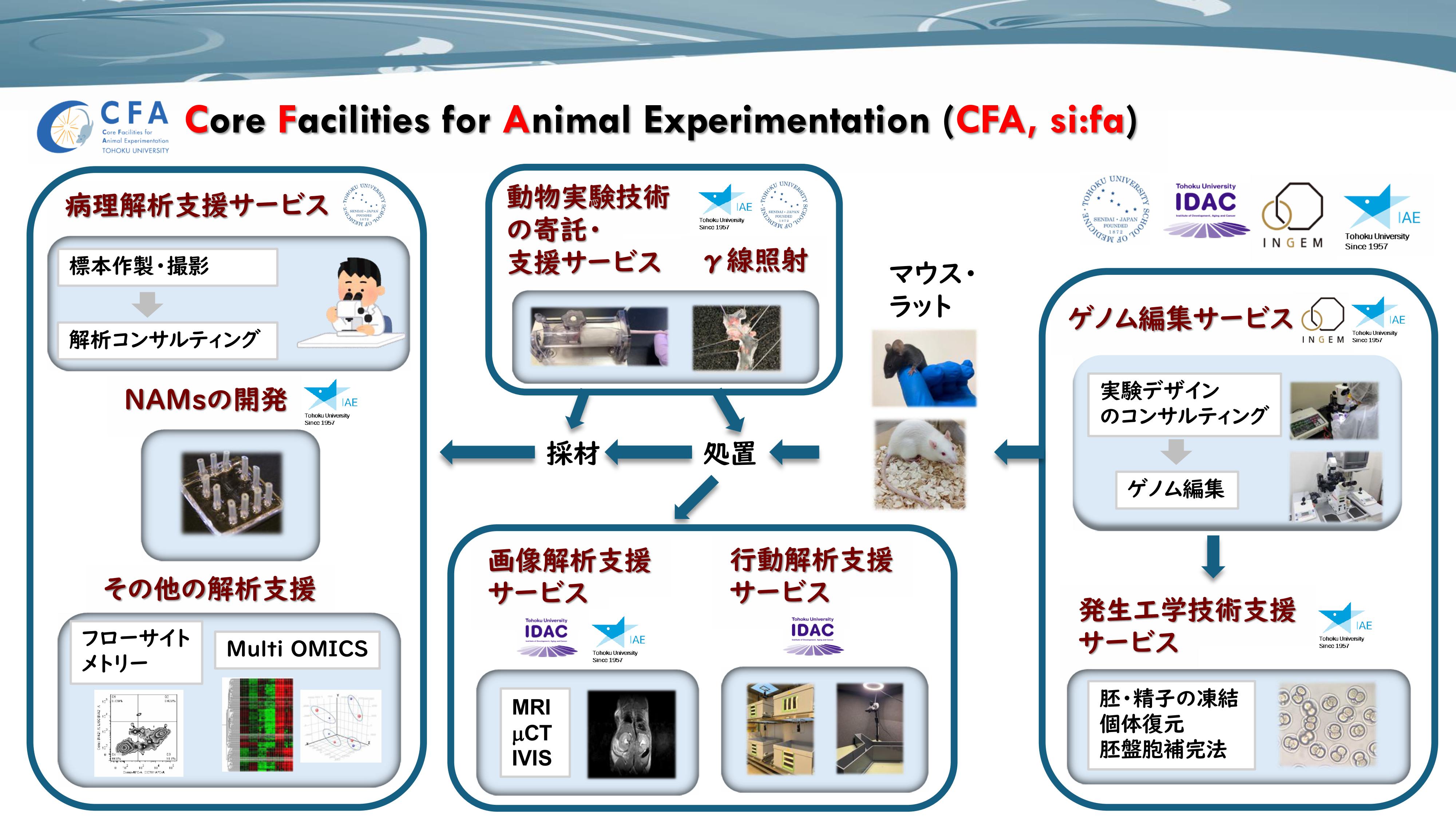 CFA概略図