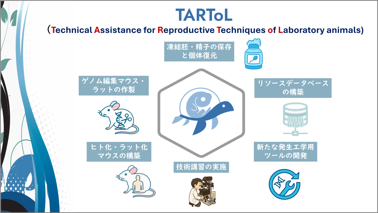 東大生物 演習 mqdefault.jpg