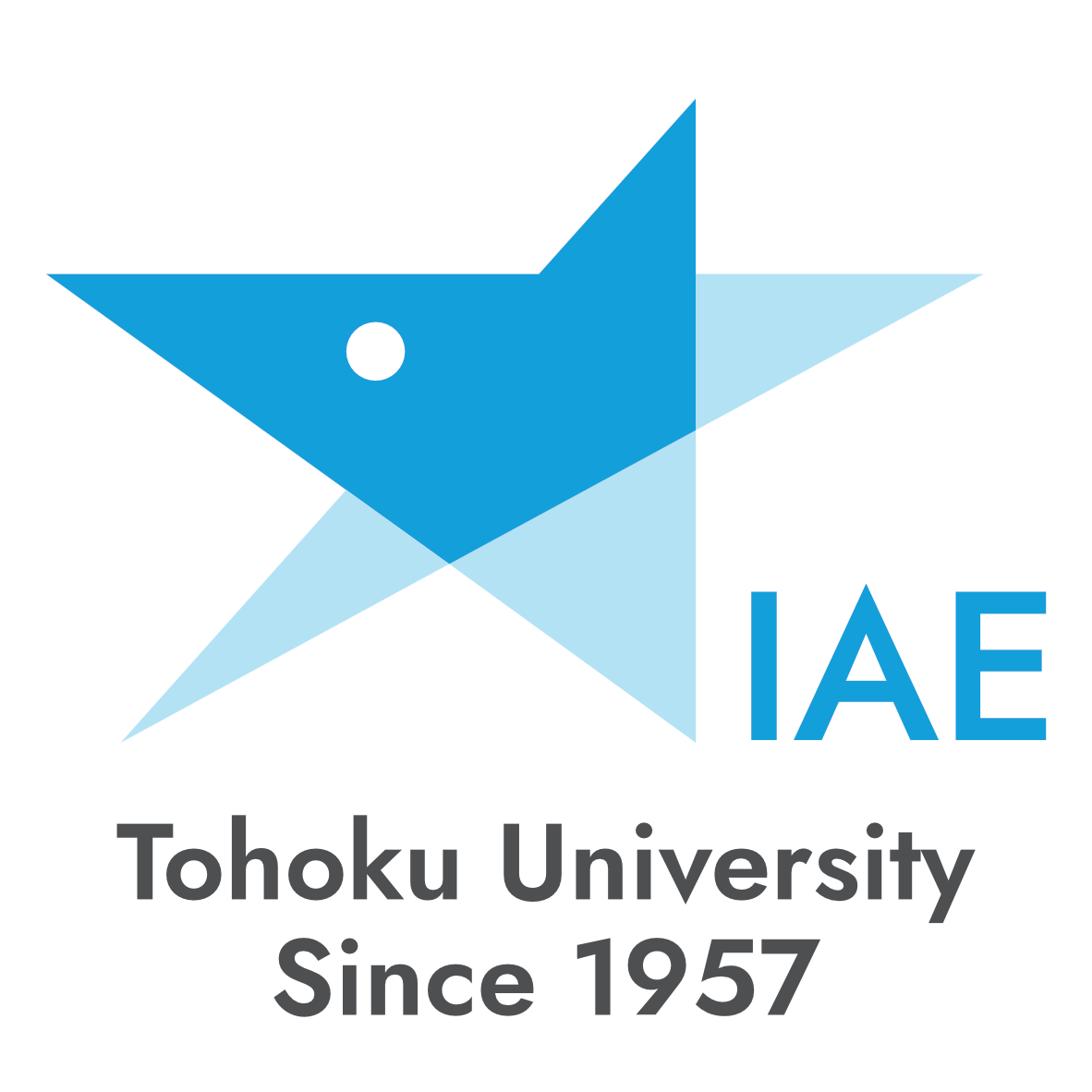 IAEロゴ