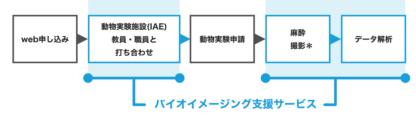 バイオイメージングフロー