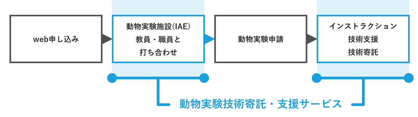 動物実験技術フロー