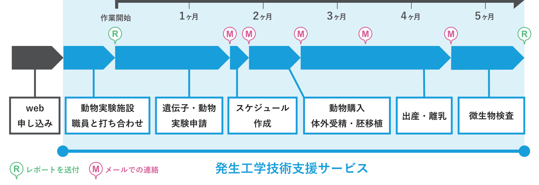 動物実験技術フロー