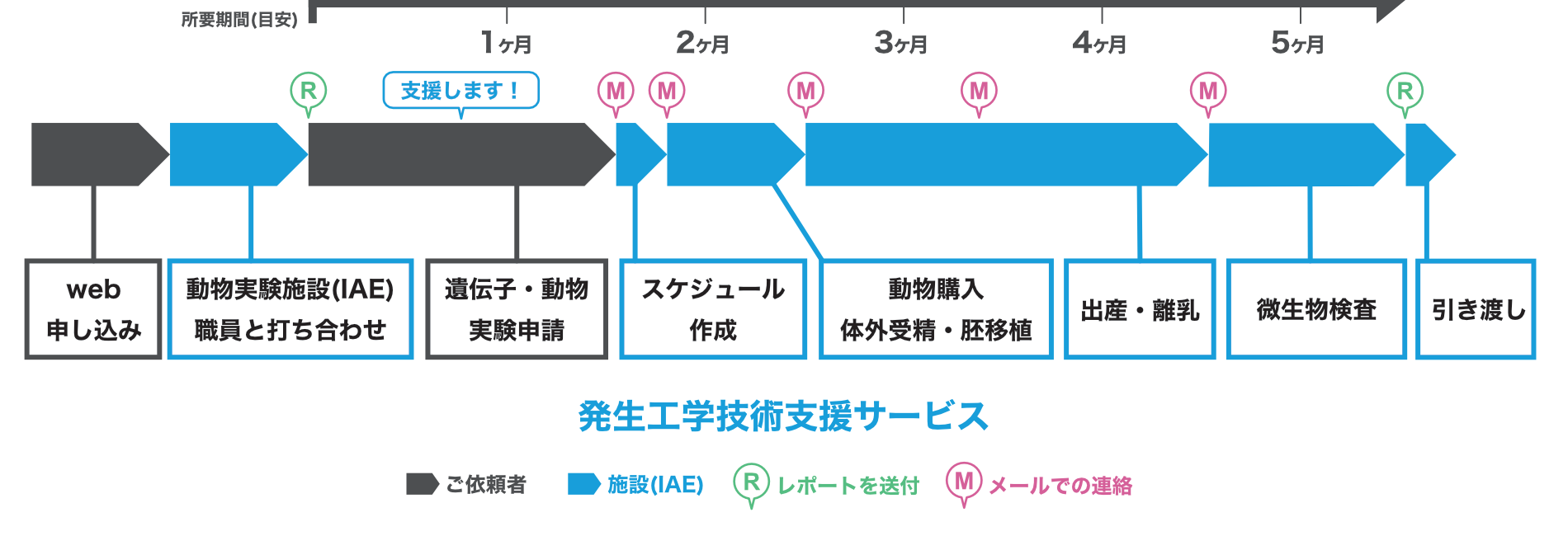 個体復元フロー